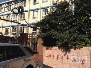 娱乐吃瓜酱上海小区,娱乐吃瓜酱带你揭秘邻里八卦