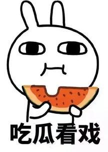 娱乐吃瓜酱说话的艺术,轻松驾驭说话艺术的秘诀