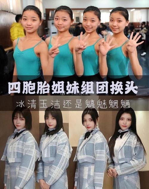 工科女勇闯娱乐圈吃瓜,勇闯“吃瓜”江湖的传奇之旅